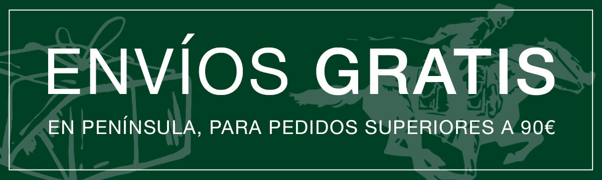 envios gratis mvl