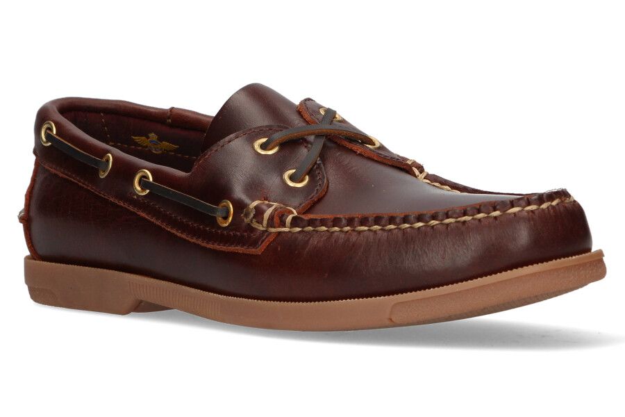 Cyclone nautique Hippocampe