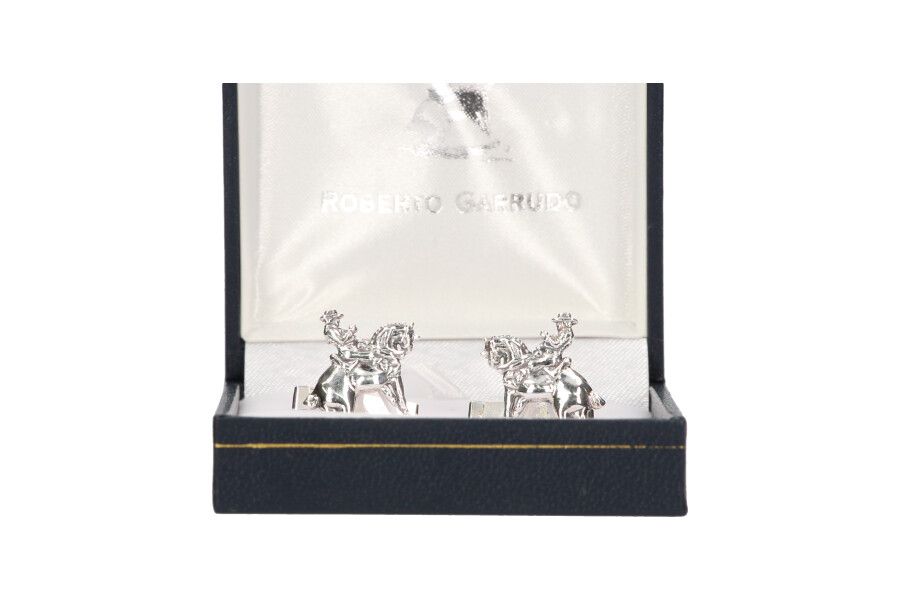 Roberto Garrudo Twins