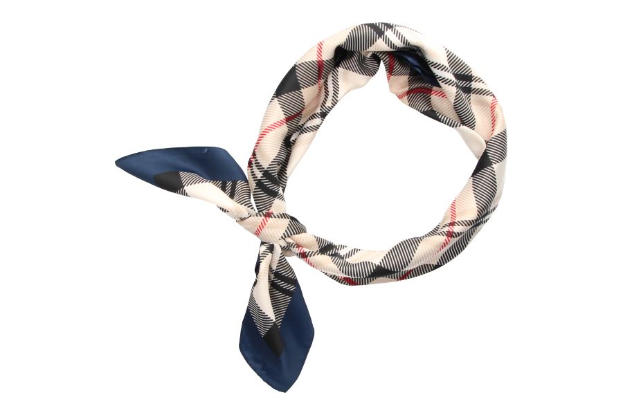 Écharpe à double carreaux avec bord bleu