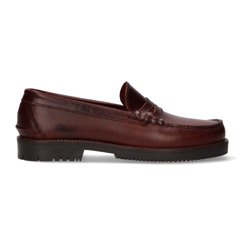 Mocassin masqué hippocampe