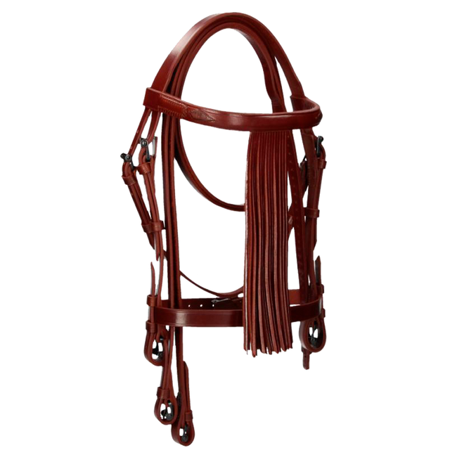 Cowboy headstall with pineapples and choke