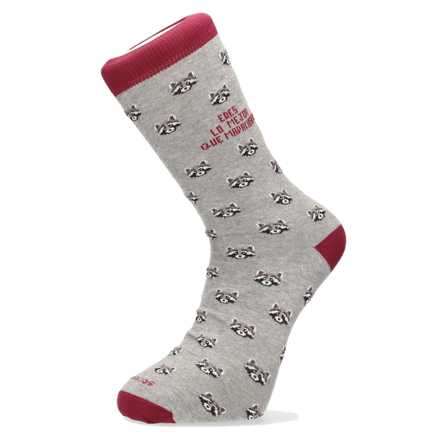 Chaussette, tu es le meilleur au monde, raton laveur !