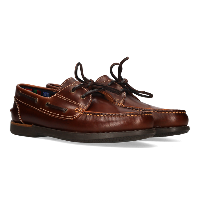 NAUTICO SEAHORSE