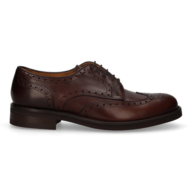 OXFORD VEGA BOX BROWN PADDLE