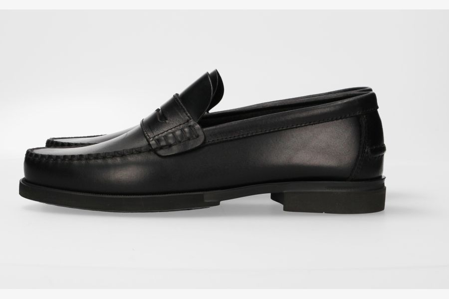 Black Masked Moccasin