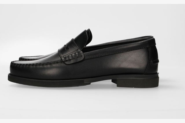 Black Masked Moccasin