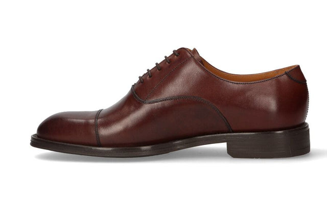 OXFORD GLASGOW MARRON ****