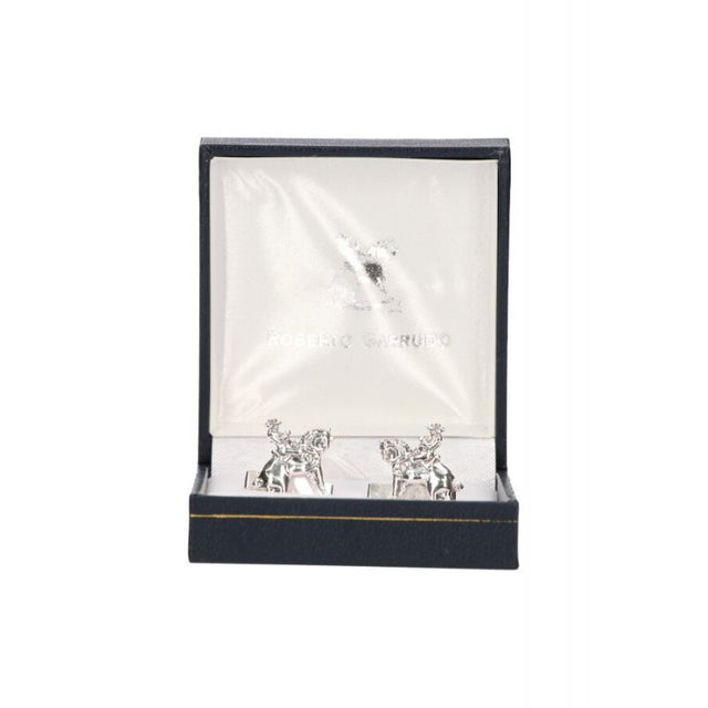 Roberto Garrudo Twins