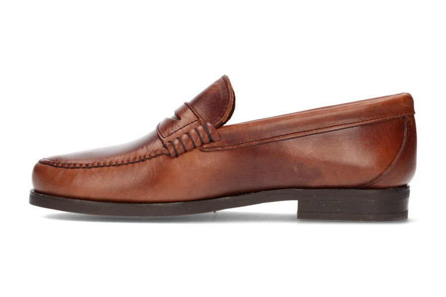 Seahorse Masked Moccasin