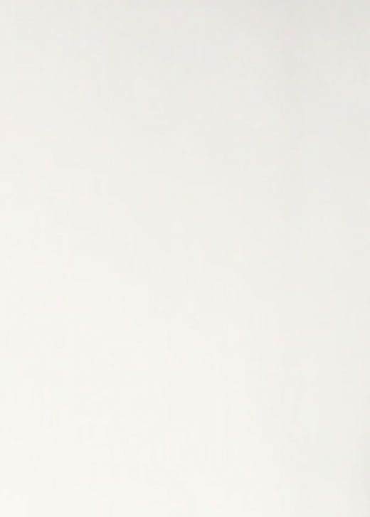 Chaqueta y Chalequillo Blanco Roto