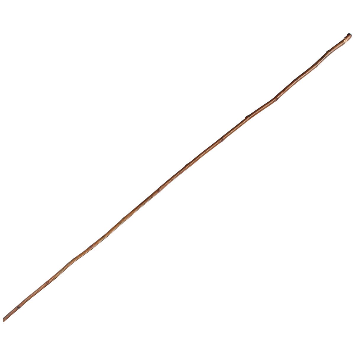 Fouet à l'écorce de micocoulier