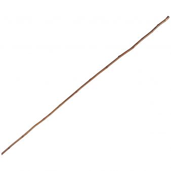 Chicote de almez com casca
