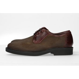 Blucher engraxado caqui