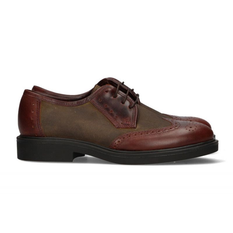 Blucher engraxado em cáqui e couro