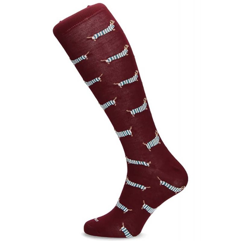 Meia teckel bordeaux