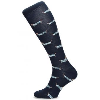 Chaussettes marines avec teckels