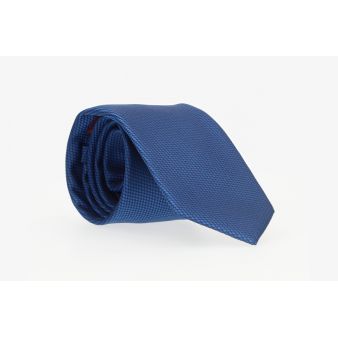 Cravate à écailles bleues