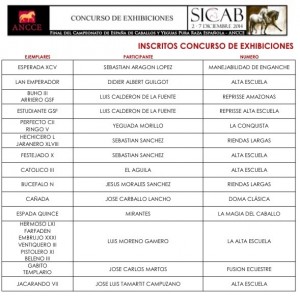 SICAB 2-7 DICIEMBRE-5