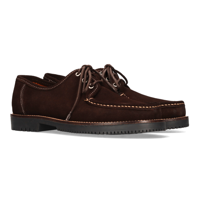 Zapato Cordones Marrón