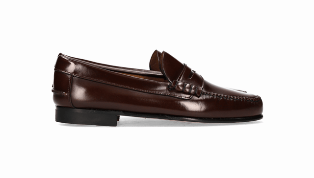 CASTELLANO FLORENTIC ANTIFAZ MARRON