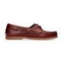 Hippocampe Nautique