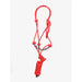 Rope Halter with Red Lead
