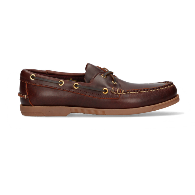 NAUTICO CICLON SEAHORSE