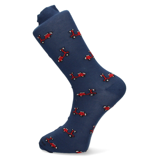 CHAUSSETTES SCOTTA BLEUES