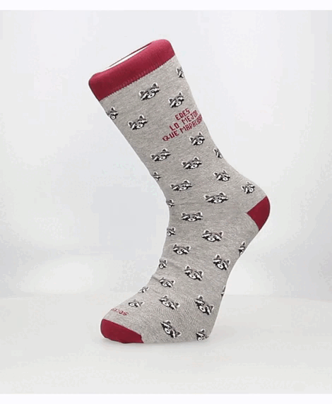 Chaussette, tu es le meilleur au monde, raton laveur !