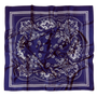 BLUE PAISLEY AND POLKA DOTS SCARF