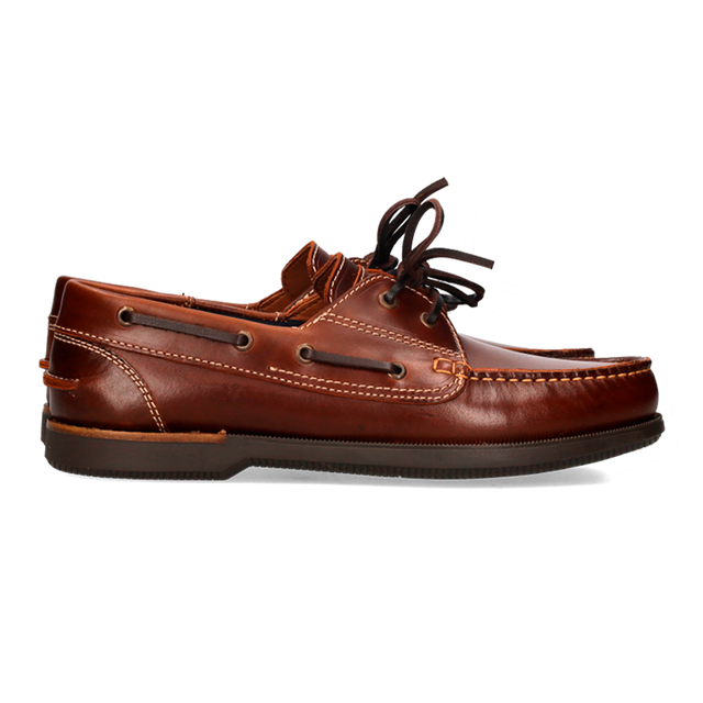 NAUTICO SEAHORSE