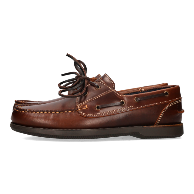 NAUTICO SEAHORSE
