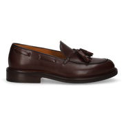 PRESIDENT BOX MARRON