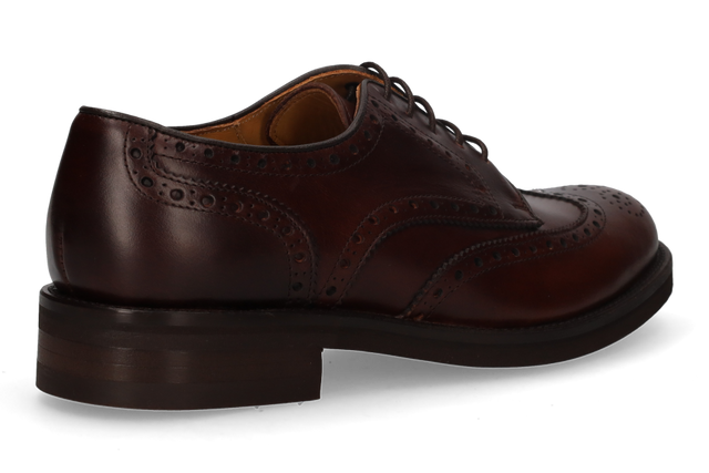 OXFORD VEGA BOX BROWN PADDLE