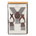 TORERO GRIS