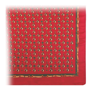 RED HORSE PRINT SCARF