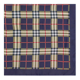 Blue Checkered Double Scarf