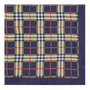 DOUBLE CHECKED BLUE HANDKERCHIEF