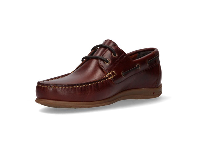 Zapato Cordones Seahorse