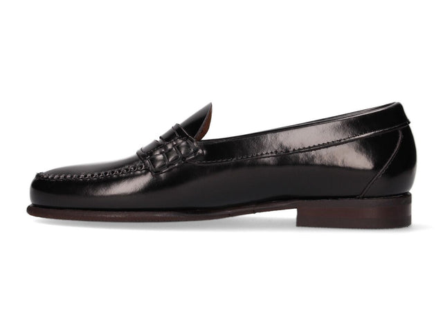 Black Masked Moccasin
