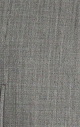Light Gray Jacket and Waistcoat