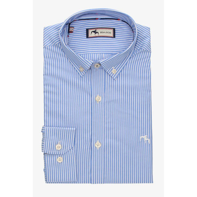 Blue Striped Shirt